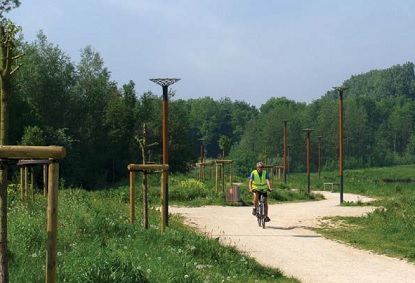 Algemene Specificaties Houten Lichtmasten